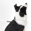 Adjustable 6-in-1 Waterproof Hands-Free Leash and Collar with LED Flashlight