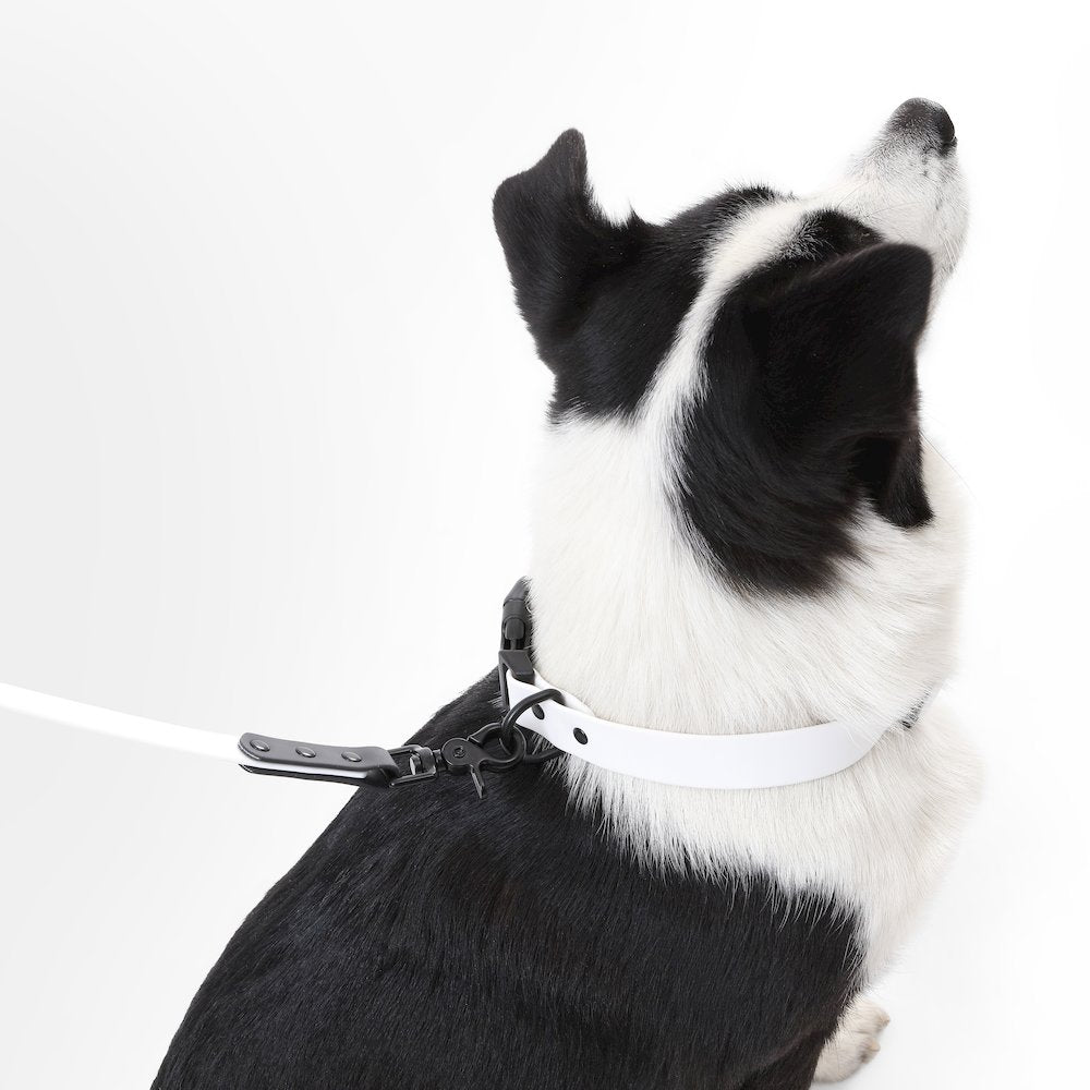 Adjustable 6-in-1 Waterproof Hands-Free Leash and Collar with LED Flashlight