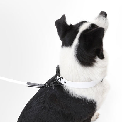 Adjustable 6-in-1 Waterproof Hands-Free Leash and Collar with LED Flashlight