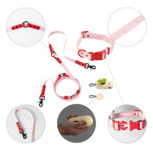 Adjustable 6-in-1 Waterproof Hands-Free Leash and Collar with LED Flashlight
