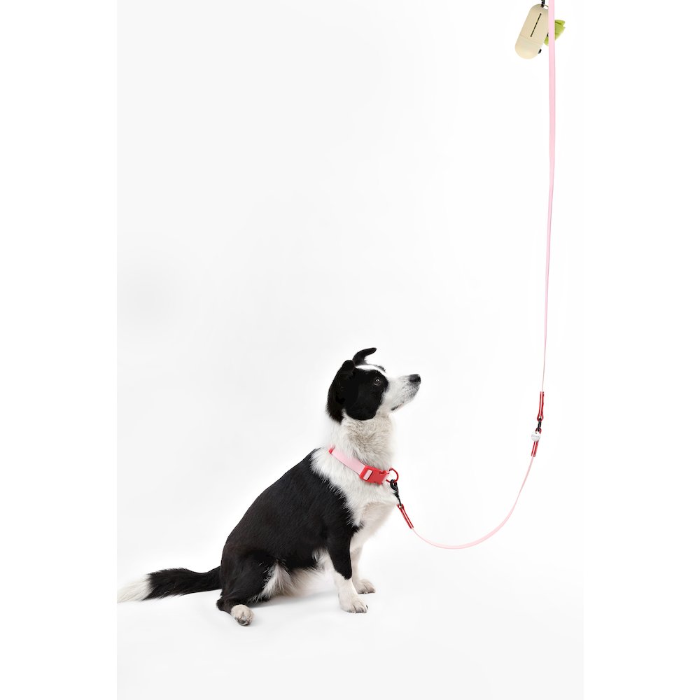 Adjustable 6-in-1 Waterproof Hands-Free Leash and Collar with LED Flashlight