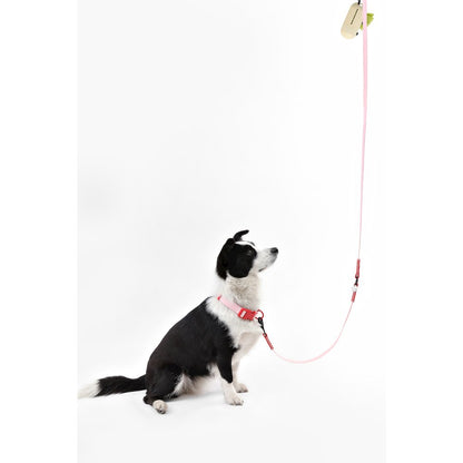 Adjustable 6-in-1 Waterproof Hands-Free Leash and Collar with LED Flashlight