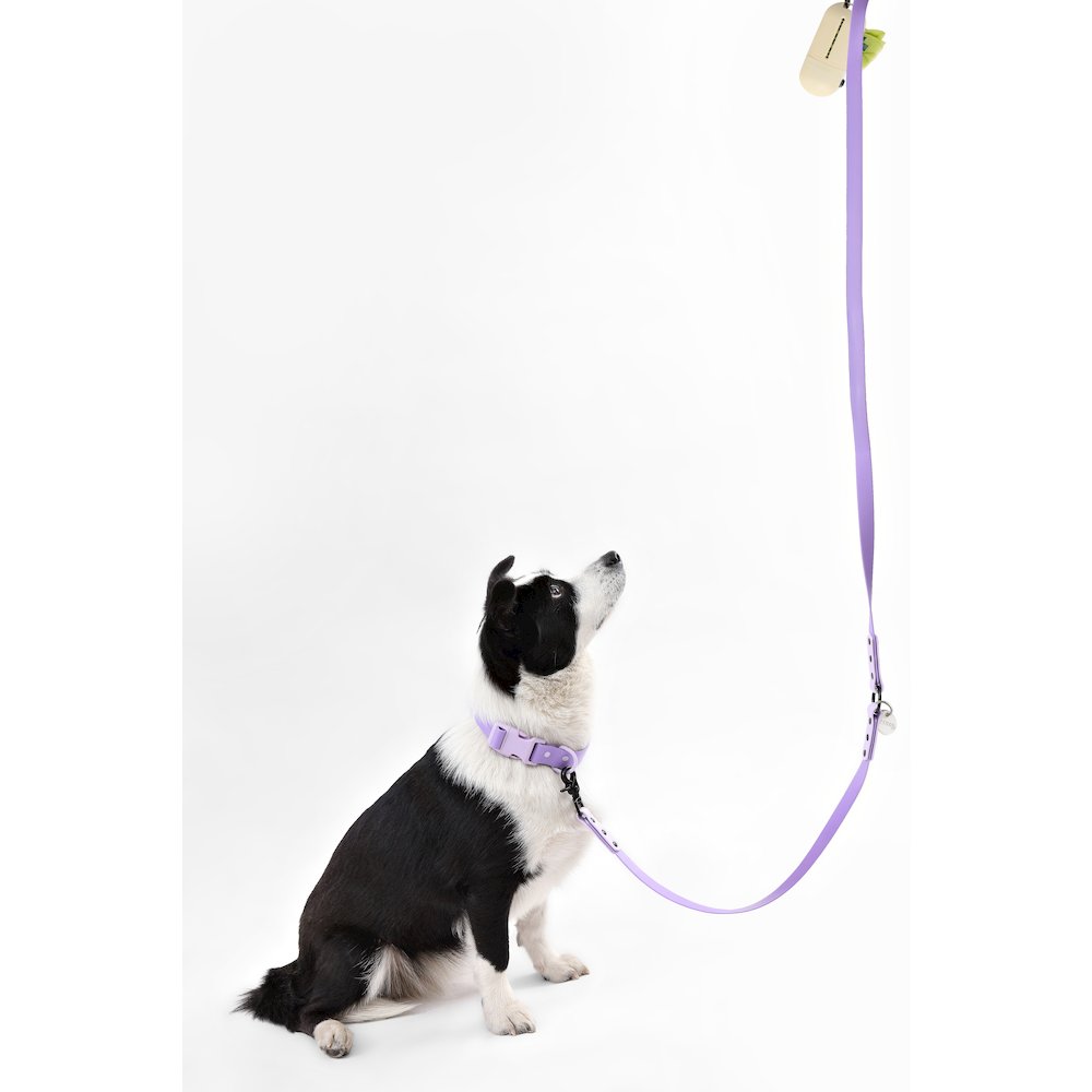 Adjustable 6-in-1 Waterproof Hands-Free Leash and Collar with LED Flashlight