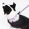 Adjustable 6-in-1 Waterproof Hands-Free Leash and Collar with LED Flashlight