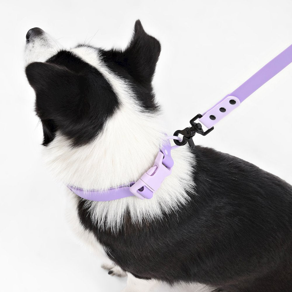 Adjustable 6-in-1 Waterproof Hands-Free Leash and Collar with LED Flashlight
