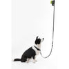 Adjustable 6-in-1 Waterproof Hands-Free Leash and Collar with LED Flashlight