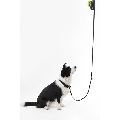 Adjustable 6-in-1 Waterproof Hands-Free Leash and Collar with LED Flashlight