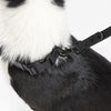 Adjustable 6-in-1 Waterproof Hands-Free Leash and Collar with LED Flashlight