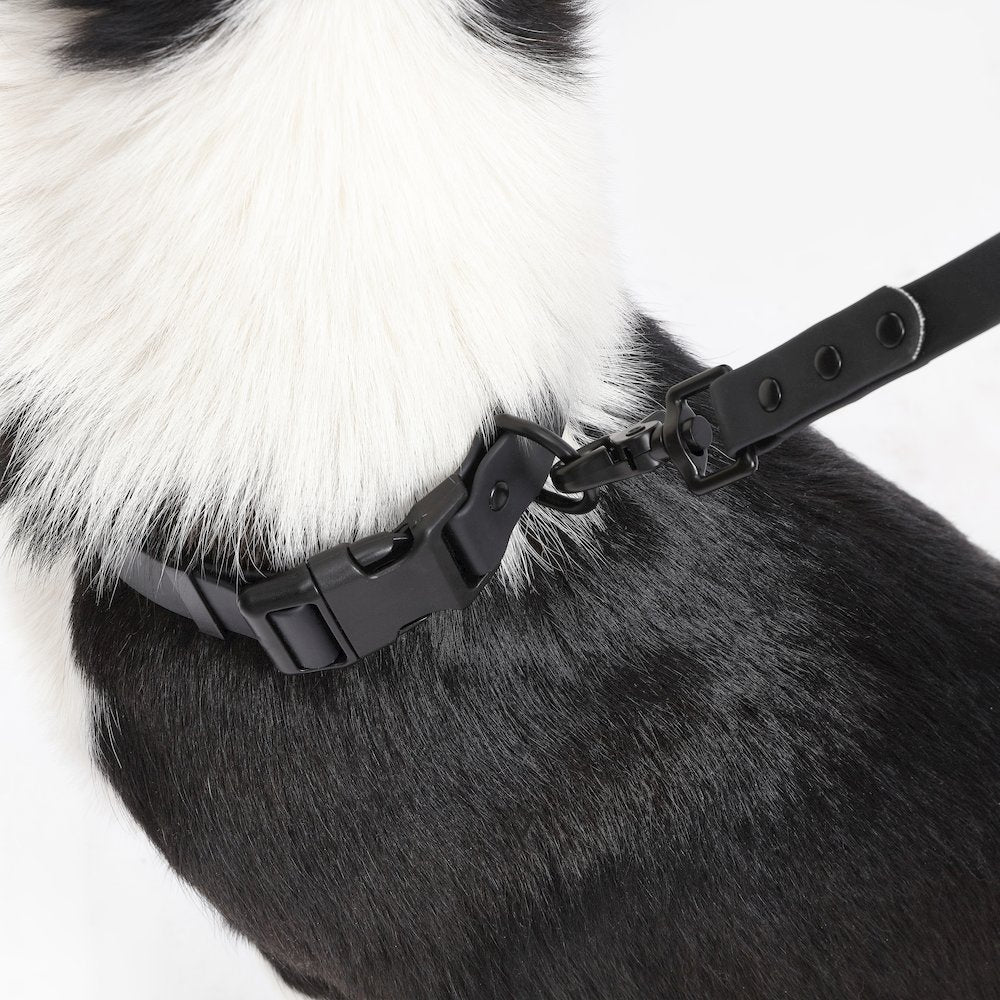 Adjustable 6-in-1 Waterproof Hands-Free Leash and Collar with LED Flashlight