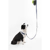 Adjustable 6-in-1 Waterproof Hands-Free Leash and Collar with LED Flashlight