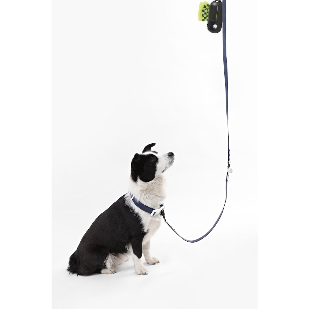 Adjustable 6-in-1 Waterproof Hands-Free Leash and Collar with LED Flashlight