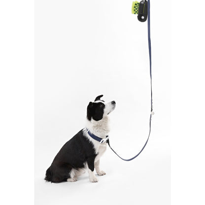 Adjustable 6-in-1 Waterproof Hands-Free Leash and Collar with LED Flashlight