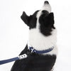 Adjustable 6-in-1 Waterproof Hands-Free Leash and Collar with LED Flashlight
