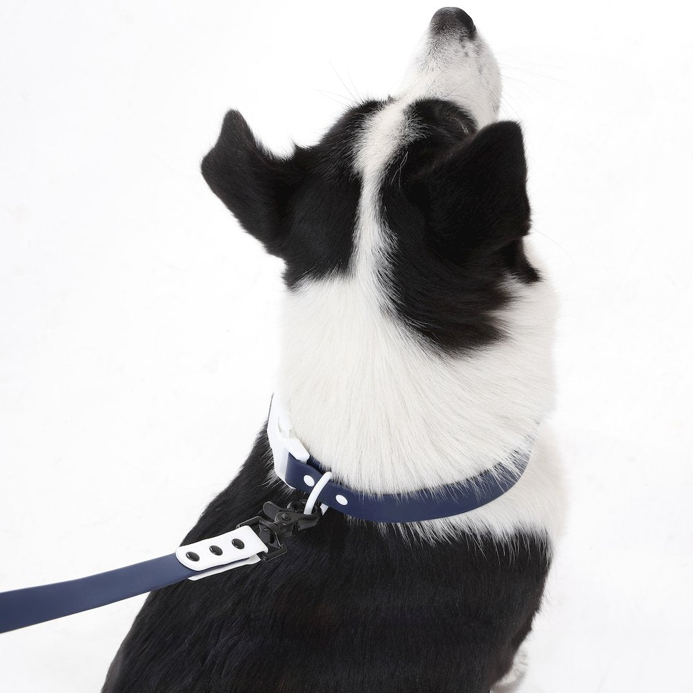 Adjustable 6-in-1 Waterproof Hands-Free Leash and Collar with LED Flashlight