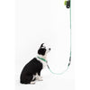 Adjustable 6-in-1 Waterproof Hands-Free Leash and Collar with LED Flashlight