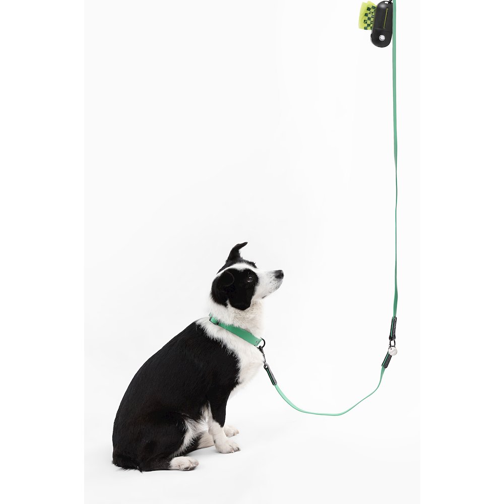Adjustable 6-in-1 Waterproof Hands-Free Leash and Collar with LED Flashlight