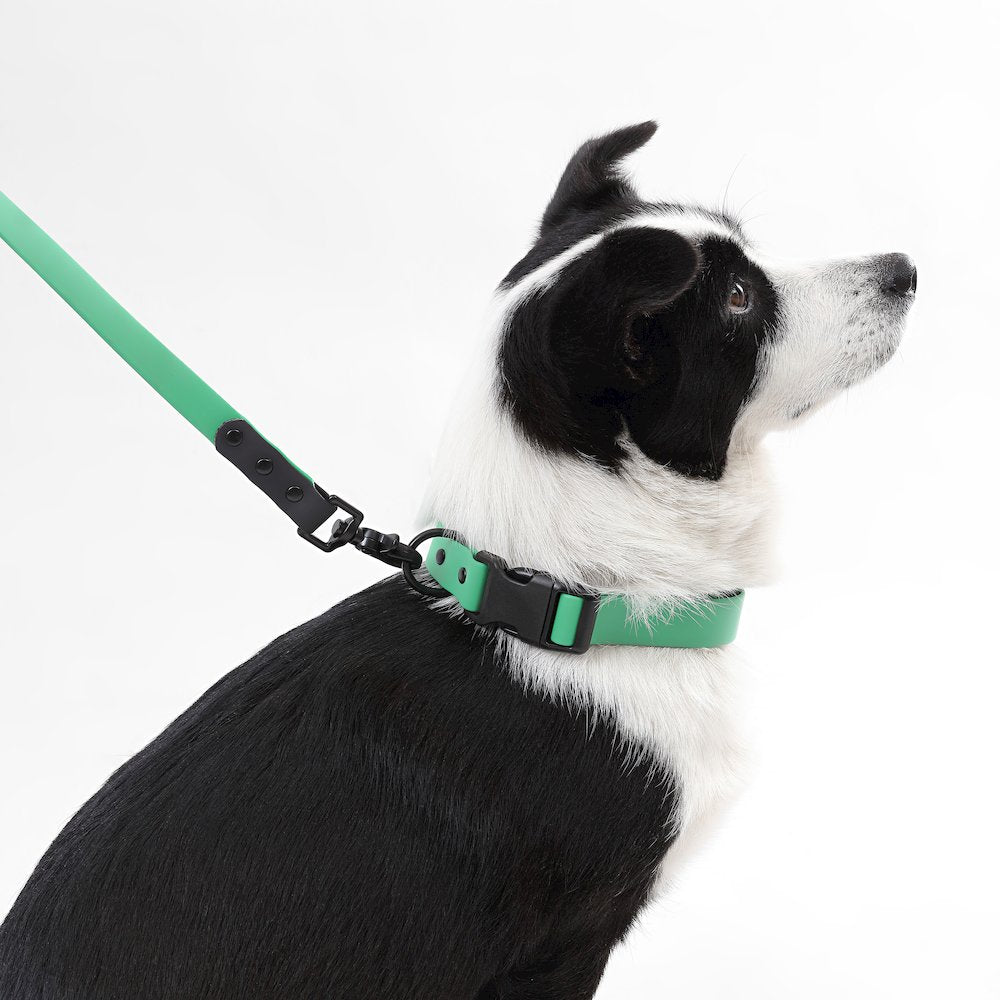Adjustable 6-in-1 Waterproof Hands-Free Leash and Collar with LED Flashlight