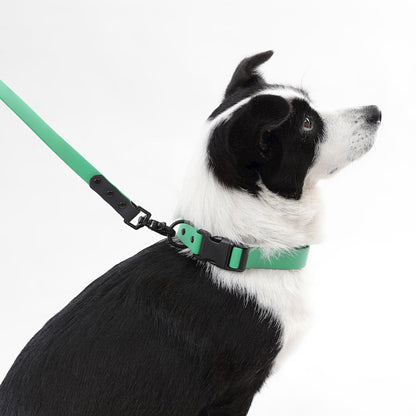 Adjustable 6-in-1 Waterproof Hands-Free Leash and Collar with LED Flashlight