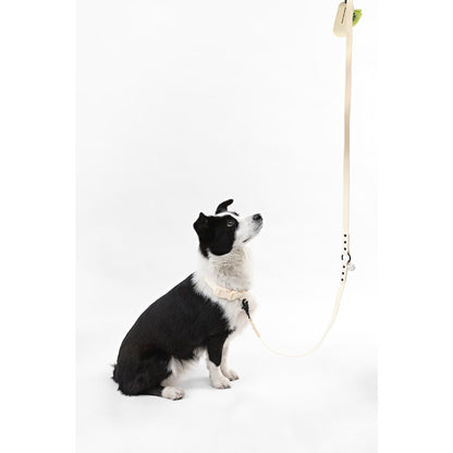 Adjustable 6-in-1 Waterproof Hands-Free Leash and Collar with LED Flashlight