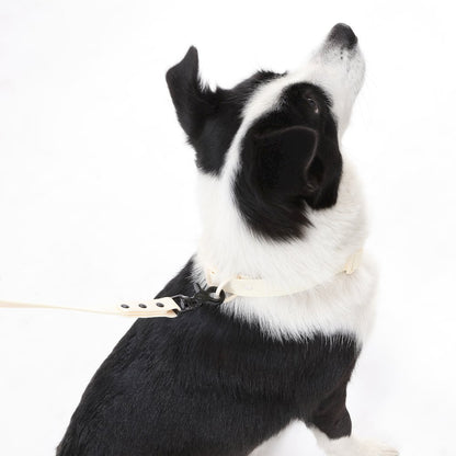 Adjustable 6-in-1 Waterproof Hands-Free Leash and Collar with LED Flashlight