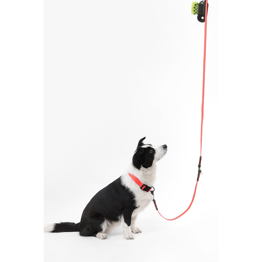 Adjustable 6-in-1 Waterproof Hands-Free Leash and Collar with LED Flashlight