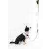 Adjustable 6-in-1 Waterproof Hands-Free Leash and Collar with LED Flashlight