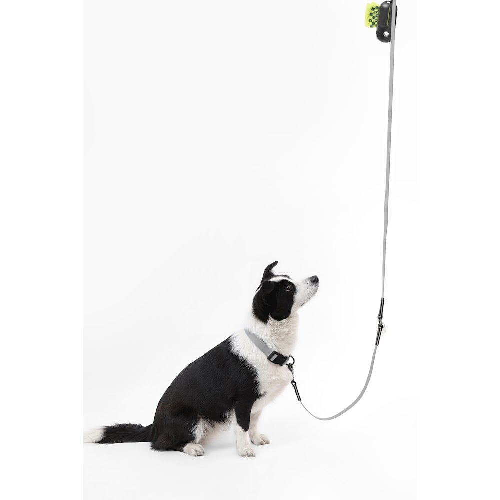 Adjustable 6-in-1 Waterproof Hands-Free Leash and Collar with LED Flashlight