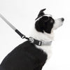 Adjustable 6-in-1 Waterproof Hands-Free Leash and Collar with LED Flashlight