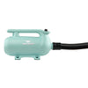 B-163 High Velocity Variable Speed Double Motor Pet Dryer - Mint Green