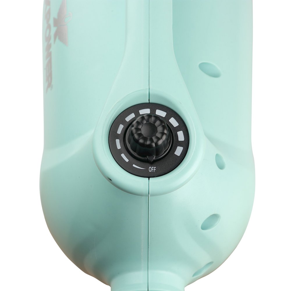 B-163 High Velocity Variable Speed Double Motor Pet Dryer - Mint Green