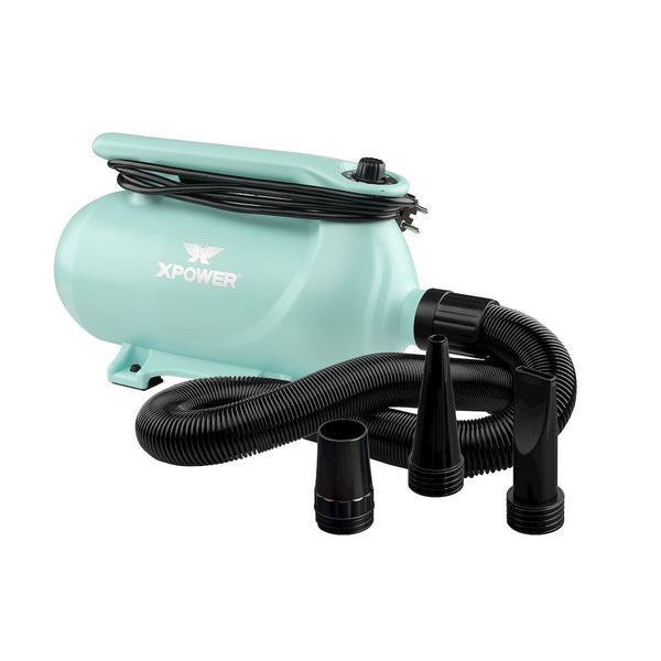 B-163 High Velocity Variable Speed Double Motor Pet Dryer - Mint Green