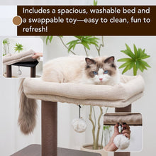 Elevate 2.0 Cat Tree, Brown & Grey
