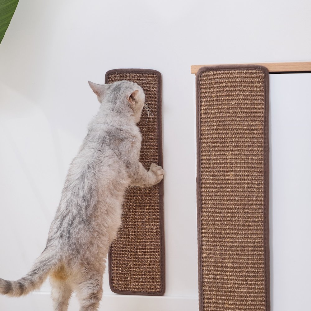 Square Sisal Scratching Pad (two-pack)