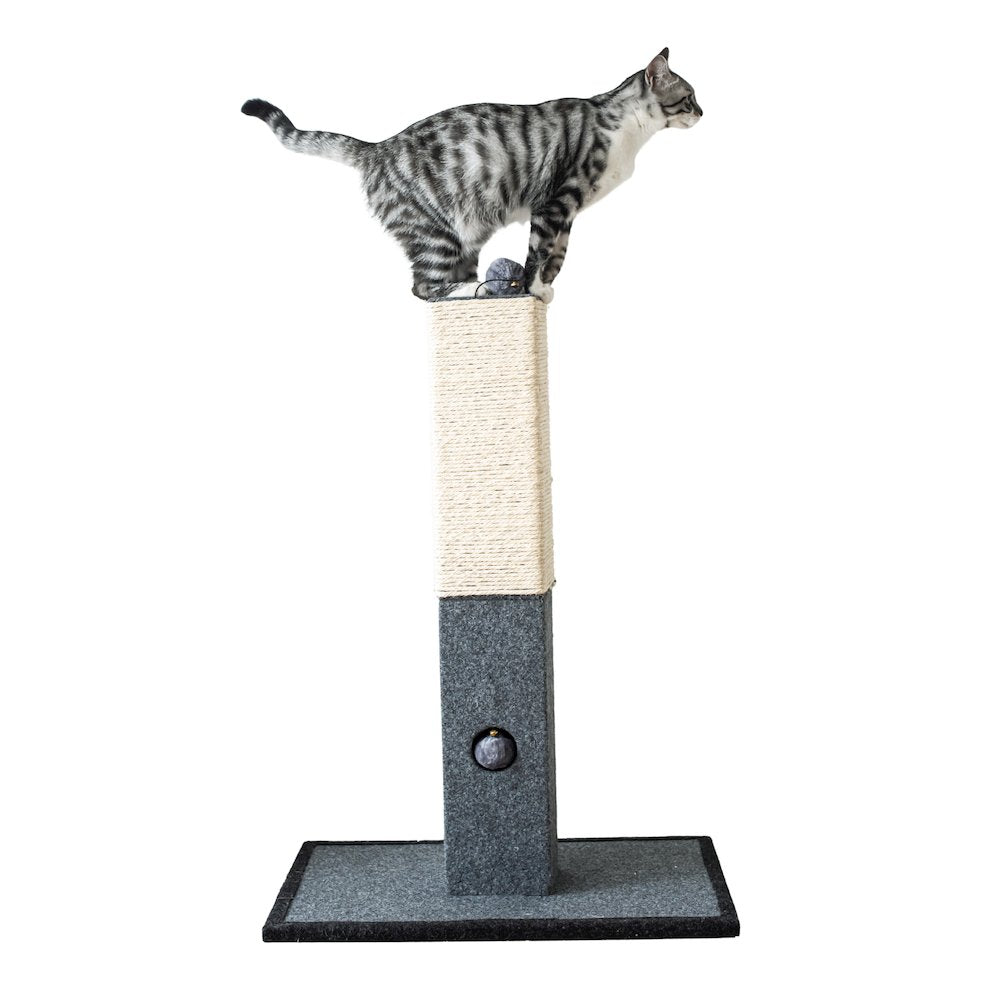 Minimalist Natural Sisal Cat Scratching Post with Peek-a-Boo Ball Toy