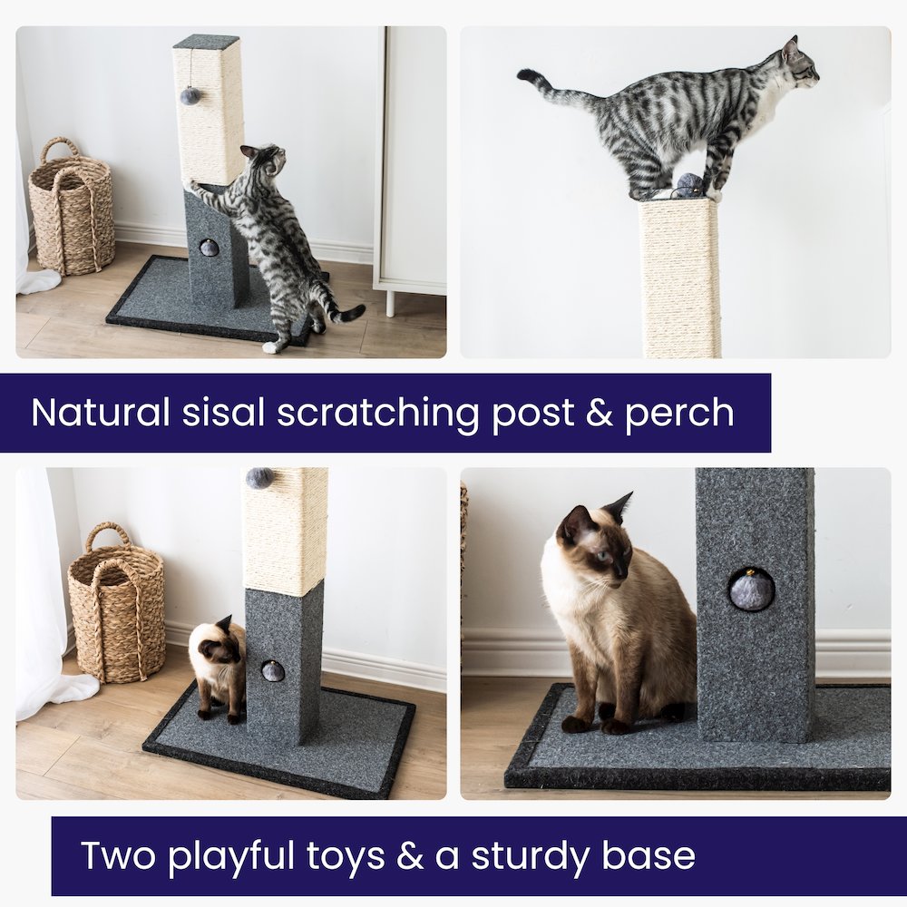 Minimalist Natural Sisal Cat Scratching Post with Peek-a-Boo Ball Toy