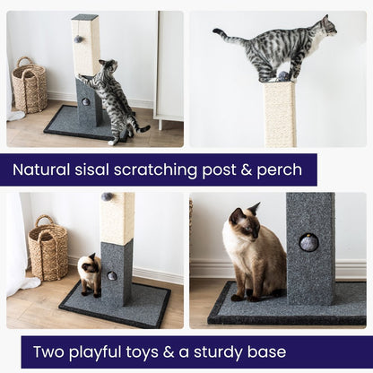 Minimalist Natural Sisal Cat Scratching Post with Peek-a-Boo Ball Toy