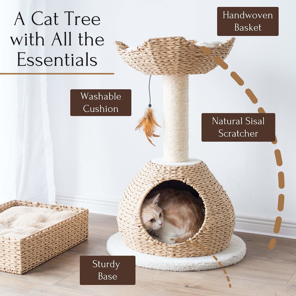 29-in Walk Up Paper Rope Condo & Perch With Sisal Post Cat Tree, Tan & Cream