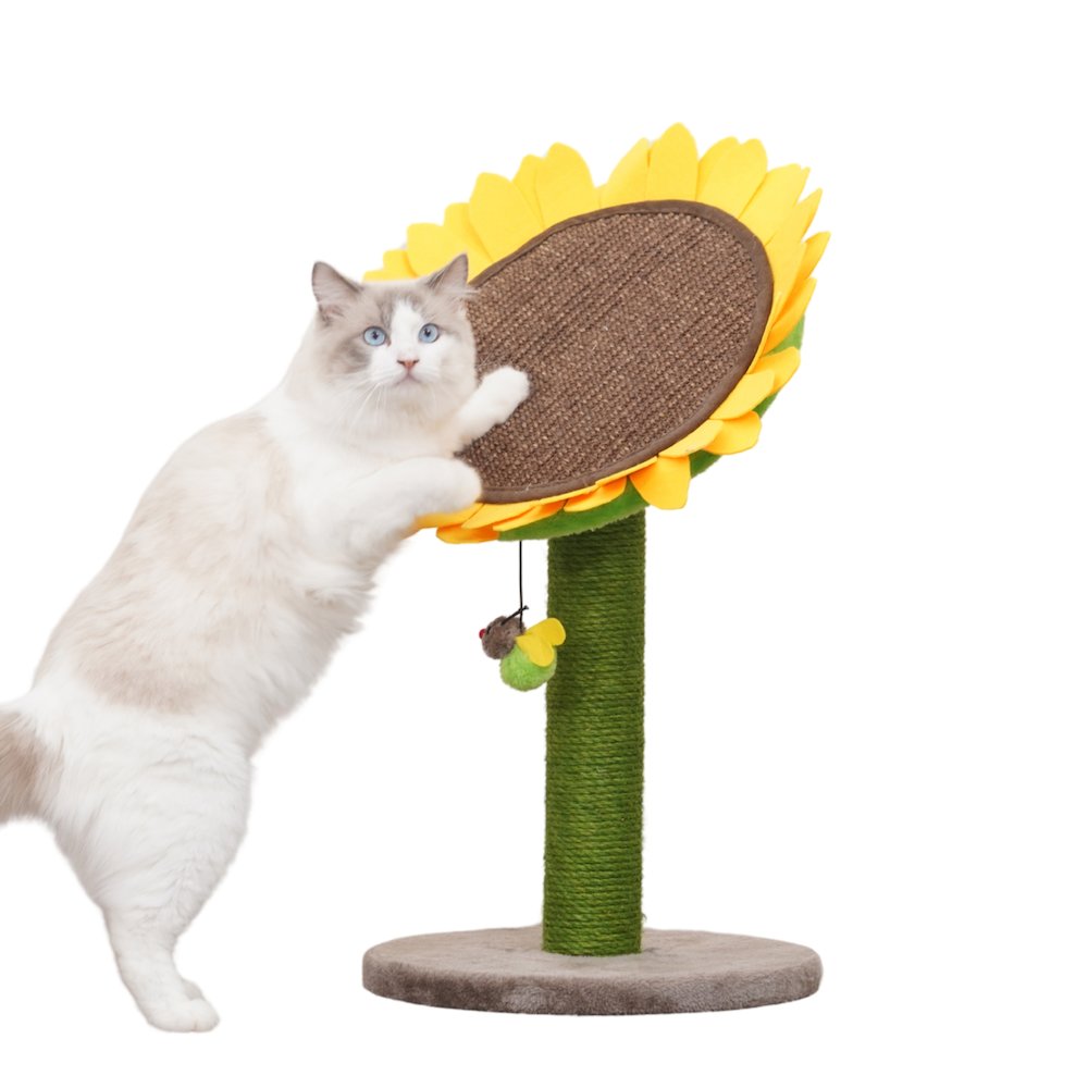 Sunflower 26" Cat Scratching Post with Replaceable Parts, Washable Beds