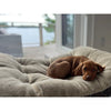 Dream FutonBed For Dogs in Winter White Fabric Finish Size - SML