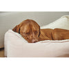 Scoop Bed For Dogs in Tulos Fabric Finish Size - XL
