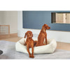 Urban Lounger Bed For Dogs in Bark Fabric Finish Size - XL