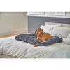 Dream FutonBed For Dogs in Fawn Fabric Finish Size - MED