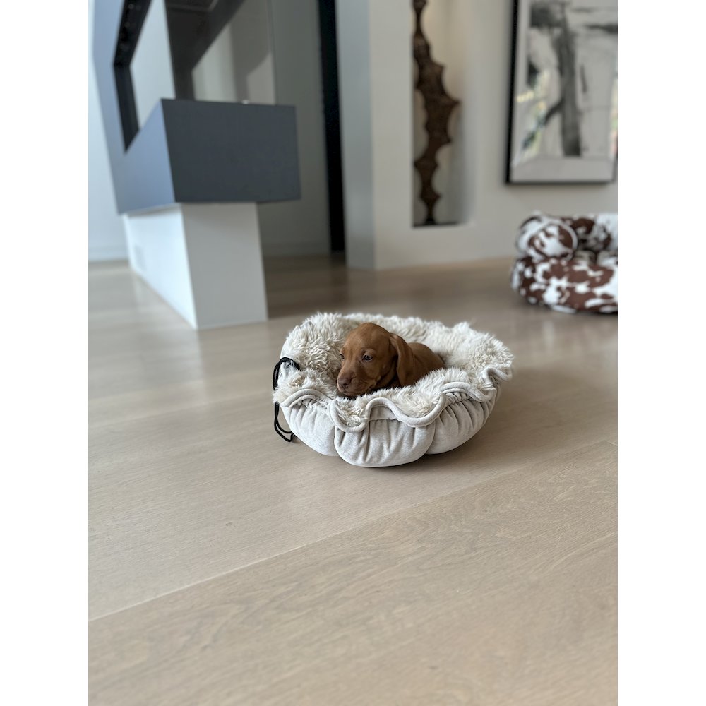 Buttercup Bed For Dogs in Winter White Fabric Finish Size - LRG (32")