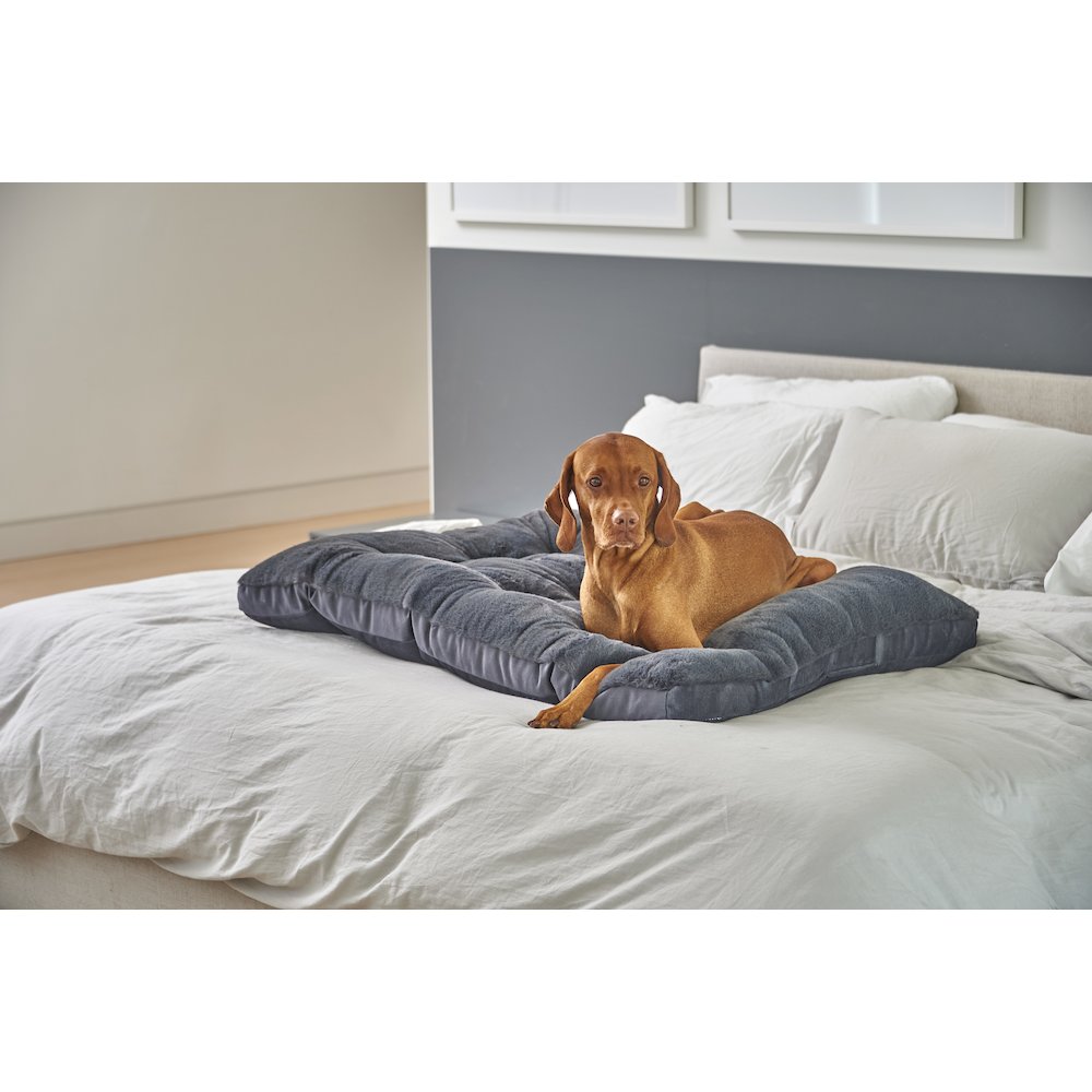 Dream FutonBed For Dogs in Galaxy Fabric Finish Size - LRG