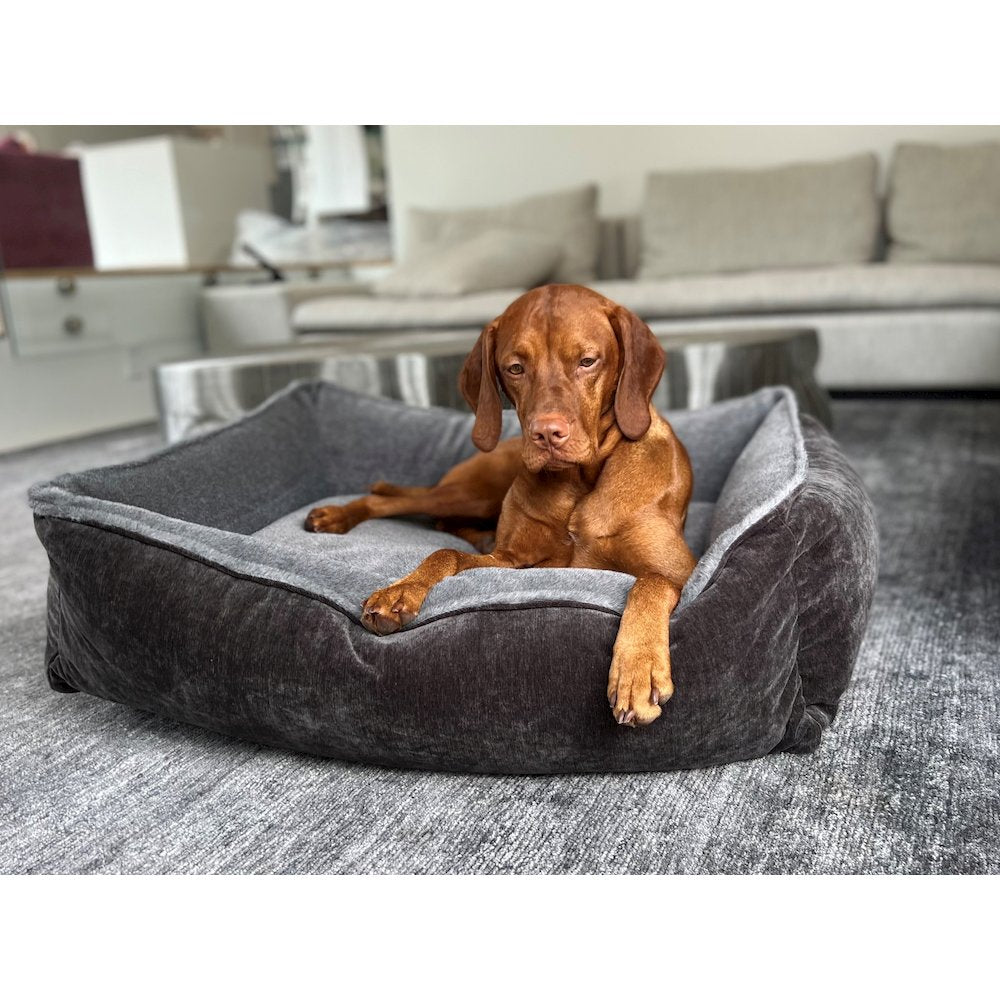 B-Lounge Bed For Dogs in Koala Fabric Finish Size - SML