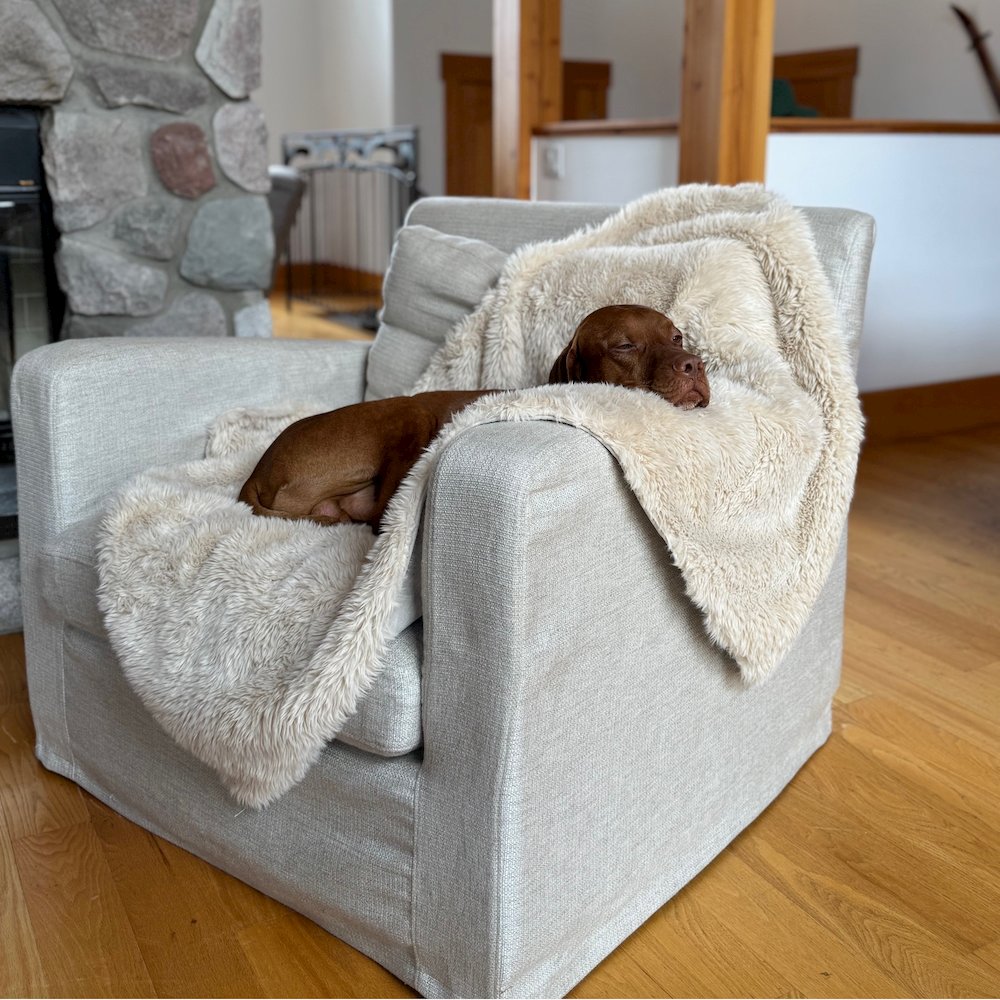 Blanket Topper For Dogs in Himalayan Fabric Finish Size - MED