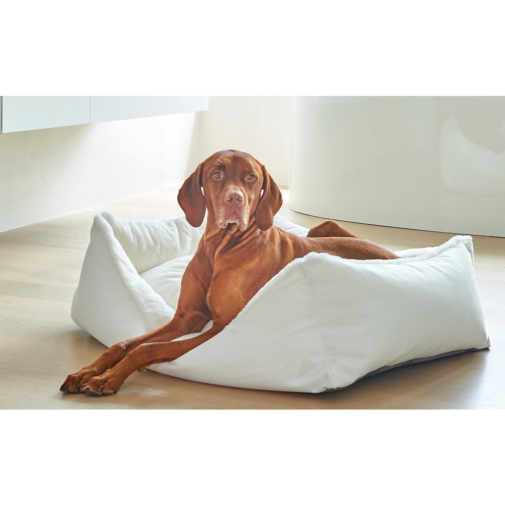 Scoop Bed For Dogs in Tribeca Fabric Finish Size - XL