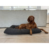 Hugo FutonBed For Dogs in Himilayan Fabric Finish Size - LRG
