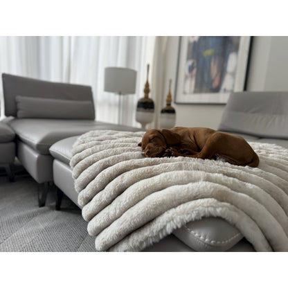 Blanket Topper For Dogs in Galaxy Fabric Finish Size - XL