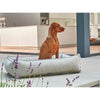 Urban Lounger Bed For Dogs in Harper Stripe Fabric Finish Size - SML